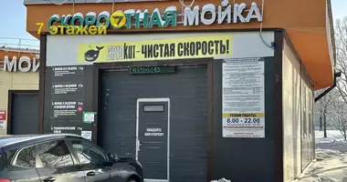 Commercial property 355 m² in Minsk, Belarus