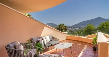 2 bedroom apartment in San Pedro Alcantara, Spain
