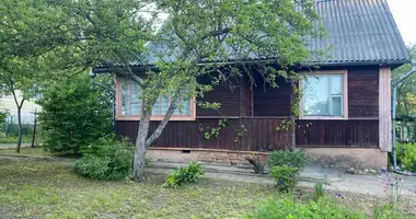 Дом в Ждановичский сельский Совет, Беларусь