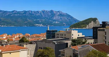 1 bedroom apartment in 41, Montenegro