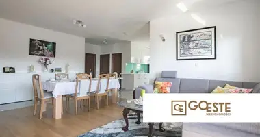 Appartement 3 chambres dans Opcina Dezanovac, Croatie