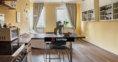 Wohnung 2 zimmer in Hauptstadt Prag, Tschechien