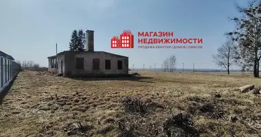 Производство 136 м² в Обуховский сельский Совет, Беларусь