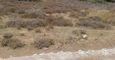 Grundstück in Ayios Amvrosios, Zypern