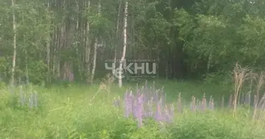Działka w gorodskoj okrug Bor, Rosja