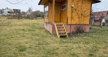 House in Prienai, Lithuania