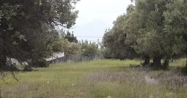 Terrain dans Agios Nikolaos, Grèce