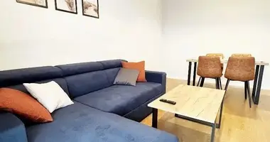 1 bedroom apartment in Poznan, Poland