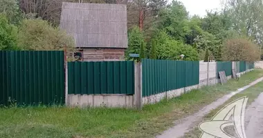 House in Matykalski sielski Saviet, Belarus