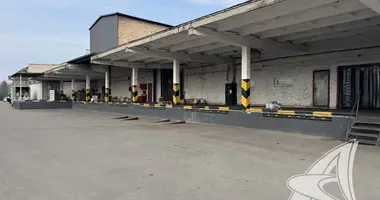 Warehouse 1 419 m² in Brest, Belarus