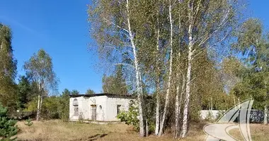 Casa en Malyja Radvanicy, Belarús