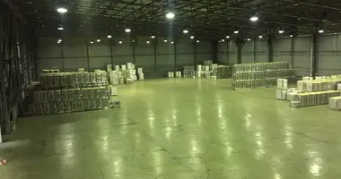 Склад 11 400 м² в Голицыно, Россия