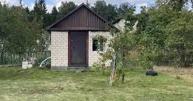Maison dans Zodzinski sielski Saviet, Bélarus