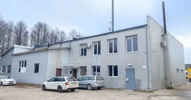 Gewerbefläche 590 m² in Mazonai, Litauen