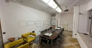 Propriété commerciale 316 m² dans Ville de Zagreb, Croatie
