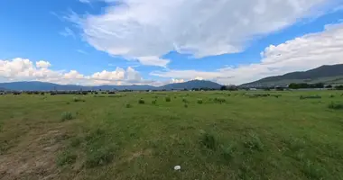 Plot of land in Tsilkani, Georgia