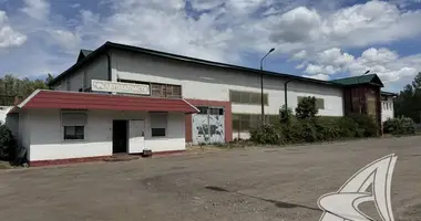 Fabrication 1 355 m² dans Barysava, Bélarus