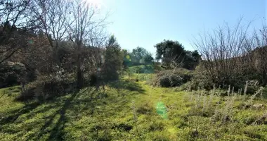 Plot of land in Agnitsini, Greece