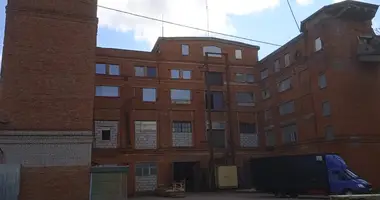 Склад 10 000 м² в Брикет, Россия