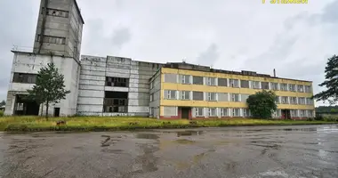Produktion 12 000 m² in Nowalukoml, Belarus