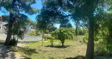 Plot of land in Bar, Montenegro