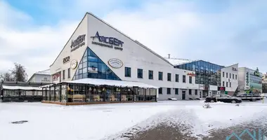 Restaurant in Minsk, Belarus