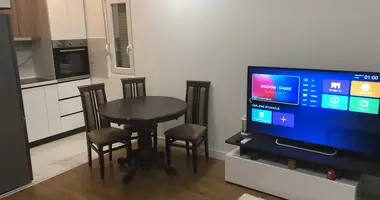 1 bedroom apartment in Montenegro