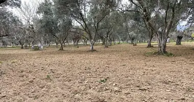 Участок земли в Kizilca, Турция