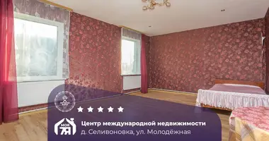 House in Miasocki sielski Saviet, Belarus