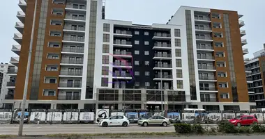 Gewerbefläche 105 m² in Zmaj Jovina, Montenegro
