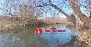 Участок земли в Путришковский сельский Совет, Беларусь