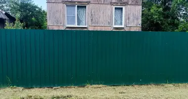 Дом в Борщёвский сельский Совет, Беларусь