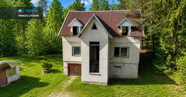 Haus in Alitten, Litauen