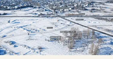 Parcela en Didieji Gulbinai, Lituania