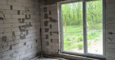 House in Piscalauski sielski Saviet, Belarus