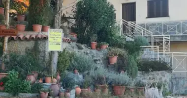 5 bedroom house in Pelendri, Cyprus