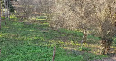 Działka w Zagrzeb, Chorwacja