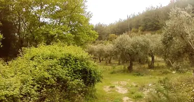 Участок земли в Thassos Municipality, Греция