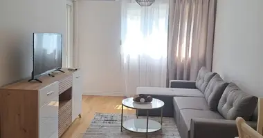 1 bedroom apartment in Podgorica, Montenegro