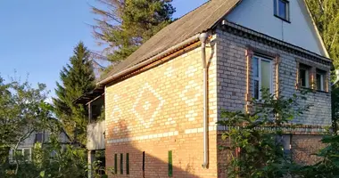 House in Rudzienski sielski Saviet, Belarus