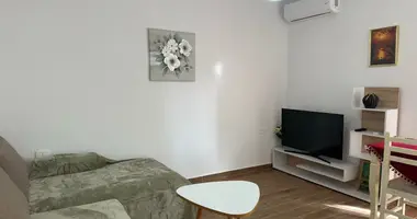 1 bedroom apartment in Albania