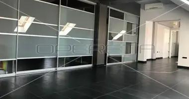 Коммерческое помещение 117 м² в Сисак, Хорватия