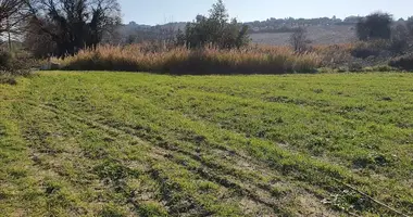 Terrain dans Skala Fourkas, Grèce