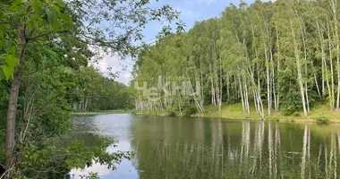 Plot of land in Vorotynets, Russia