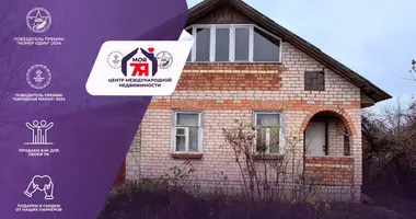 House in Starobinski sielski Saviet, Belarus