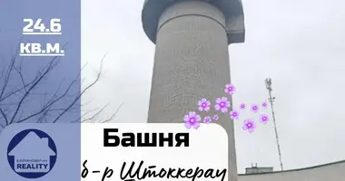 Commercial property 25 m² in Baranavichy, Belarus