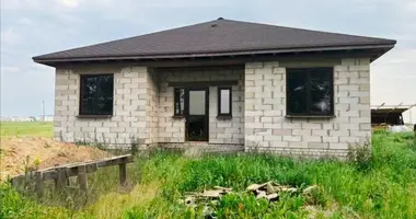 Dom w Babinicki sielski Saviet, Białoruś