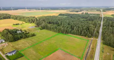 Plot of land in Prysmanciai, Lithuania