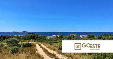 Parcela en Opcina Dezanovac, Croacia