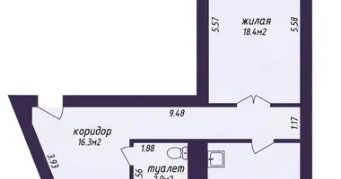 Квартира 1 комната в Минск, Беларусь